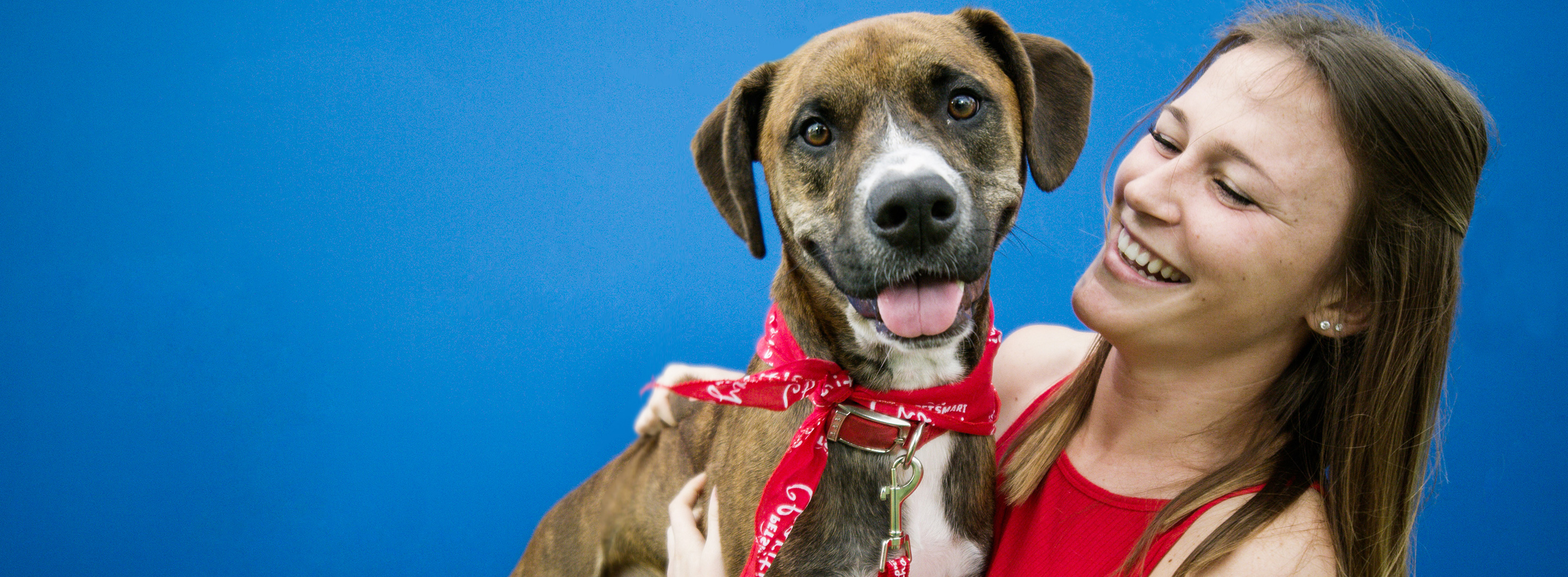 petsmart adoptions today near me