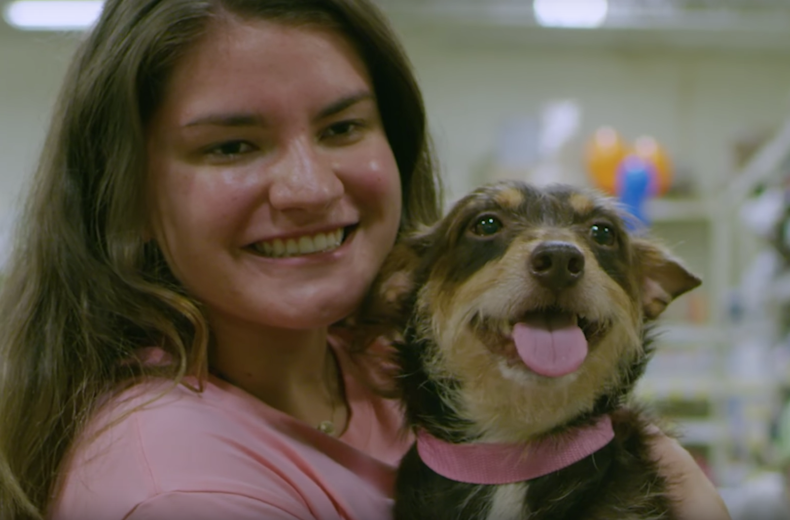 PetSmart National Adoption Week – Charleston Animal Society
