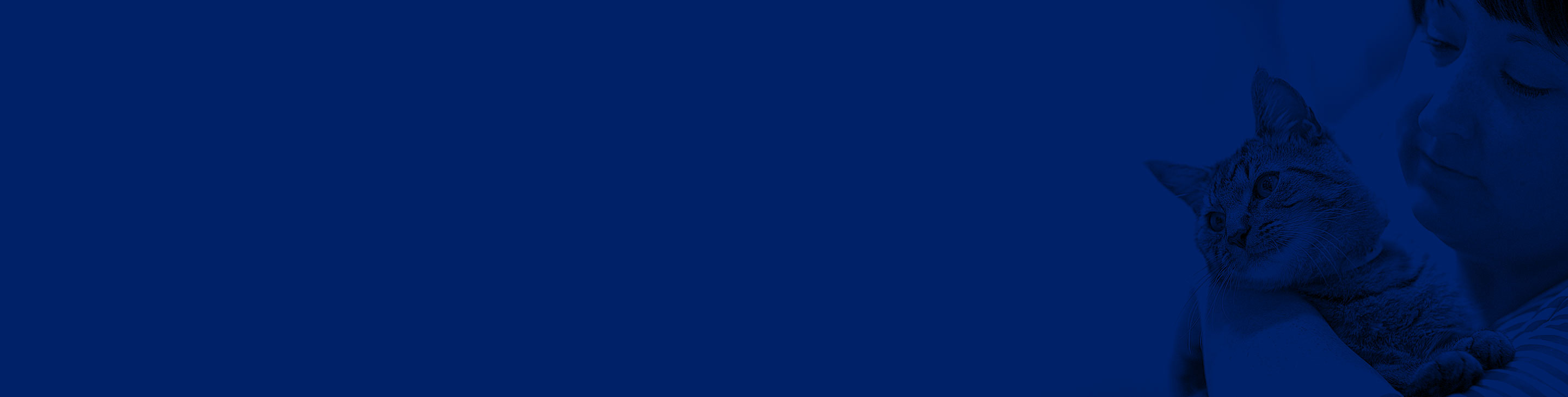 B2B Opt-In Confirmation