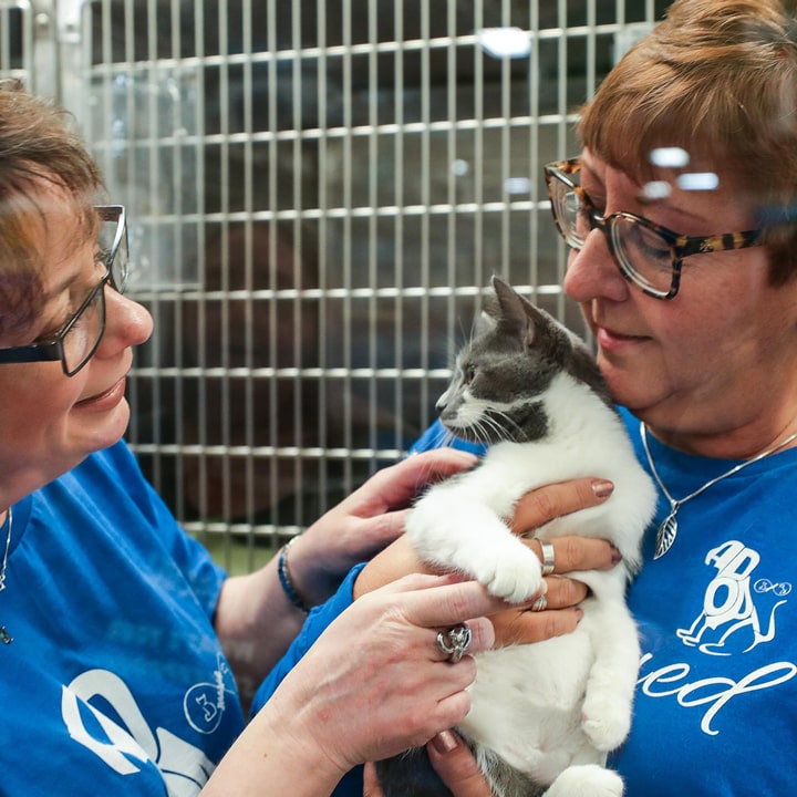 Find a pet adoption center near you PetSmart Charities