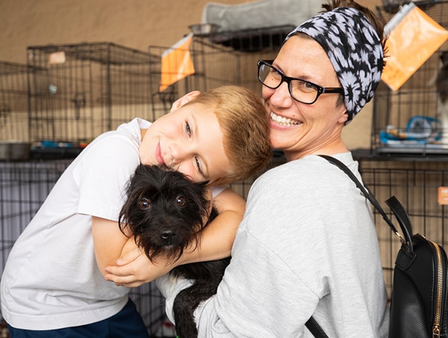 Adopt A Pet  PetSmart Charities