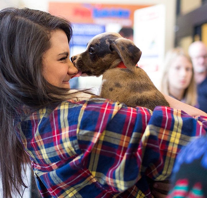 Make a Lasting Impact: Donate to an Animal Charity | PetSmart Charities