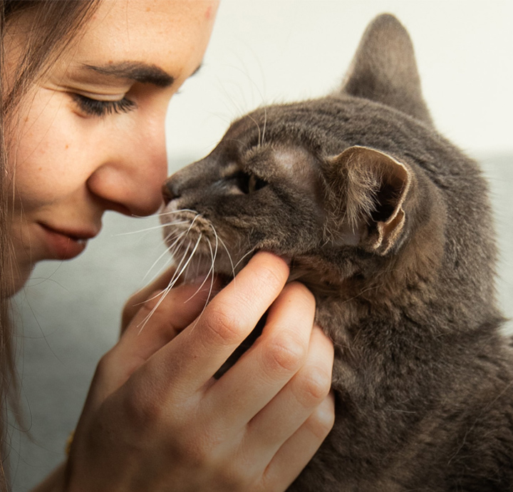 Adopt A Pet  PetSmart Charities