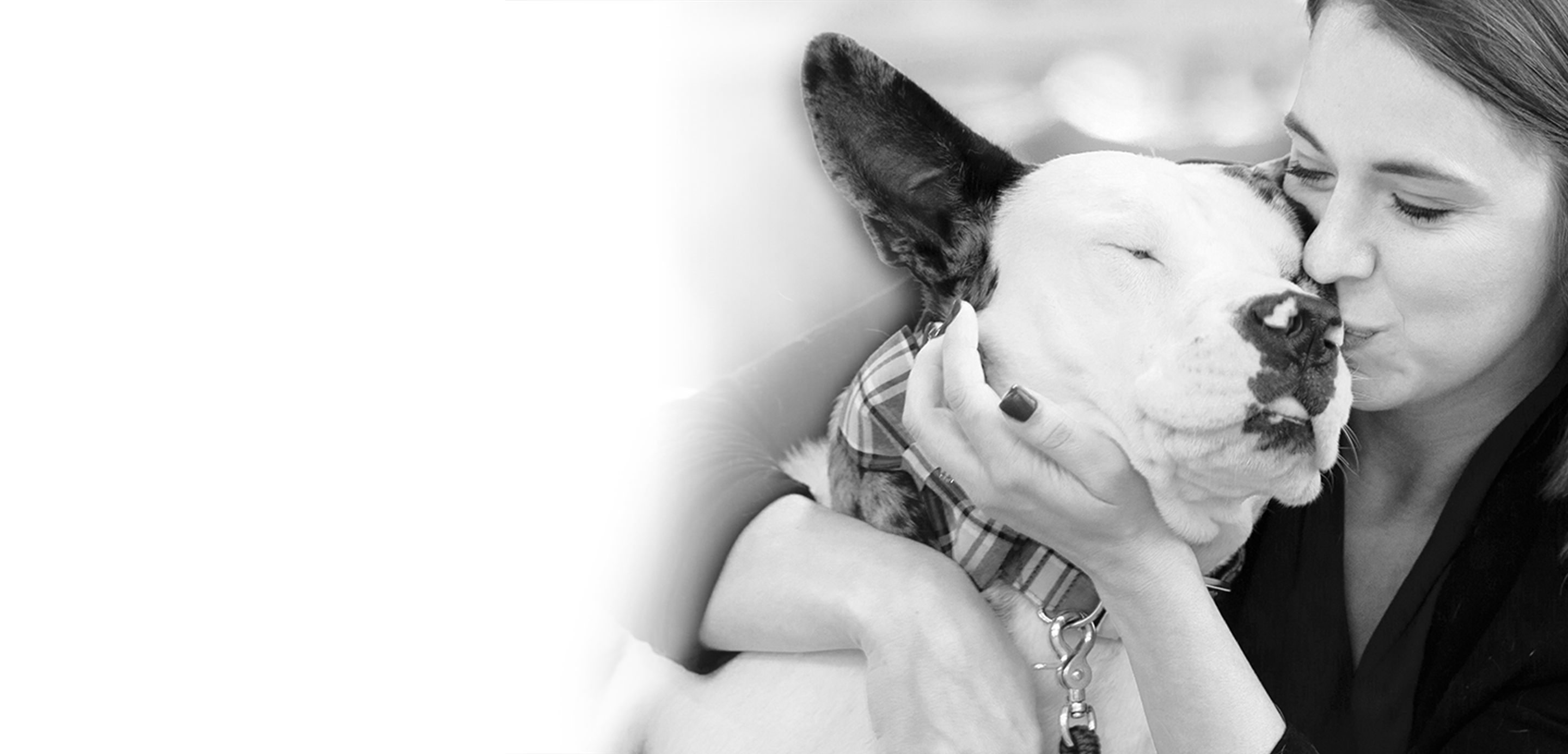 More than a Pet Charity: Connecting People & Pets | PetSmart Charities More than a Pet Charity: Connecting People & Pets | PetSmart Charities