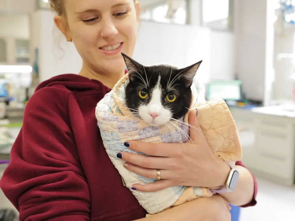 image of a woman wearing a red sweatshirt holding a cat wrapped in a towel