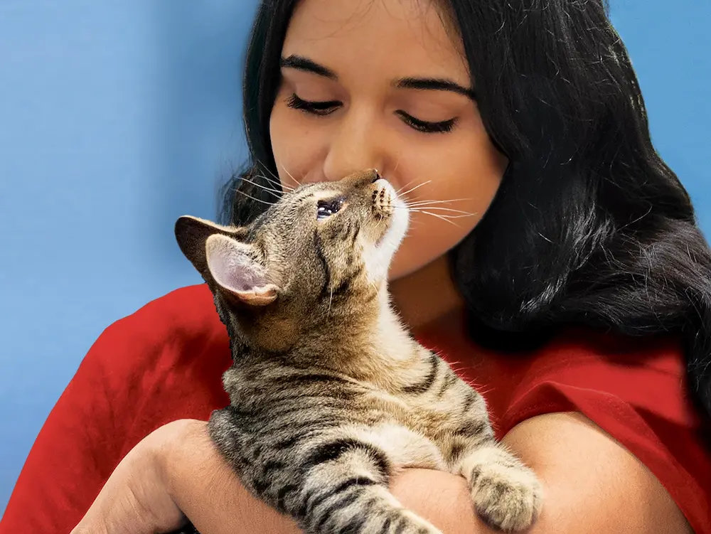 woman with dark hair wearing a red t-shirt kisses a tabby cat she's holding in her arms