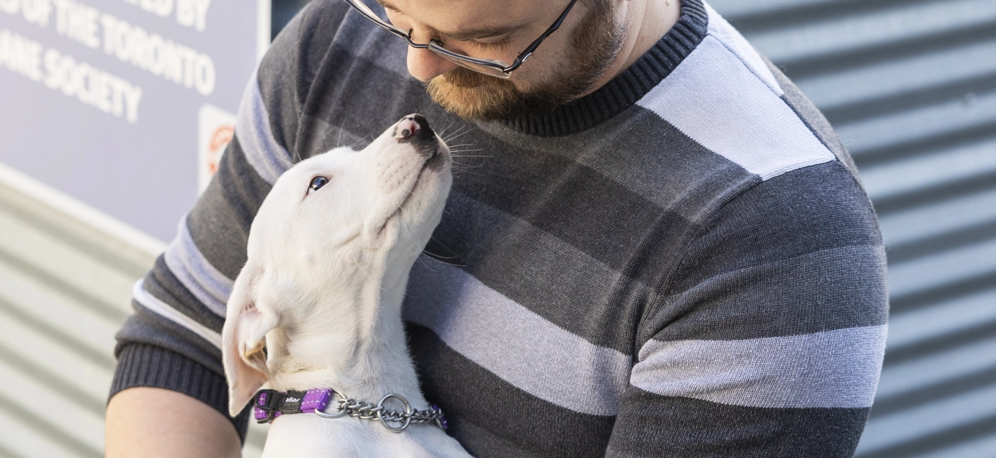 a man looks down at a white puppy looking adoringly back at him