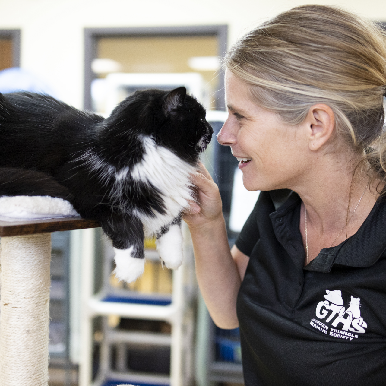 A woman wearing a Georgian Triangle Humane Society greets a black and white cat on a cat tree