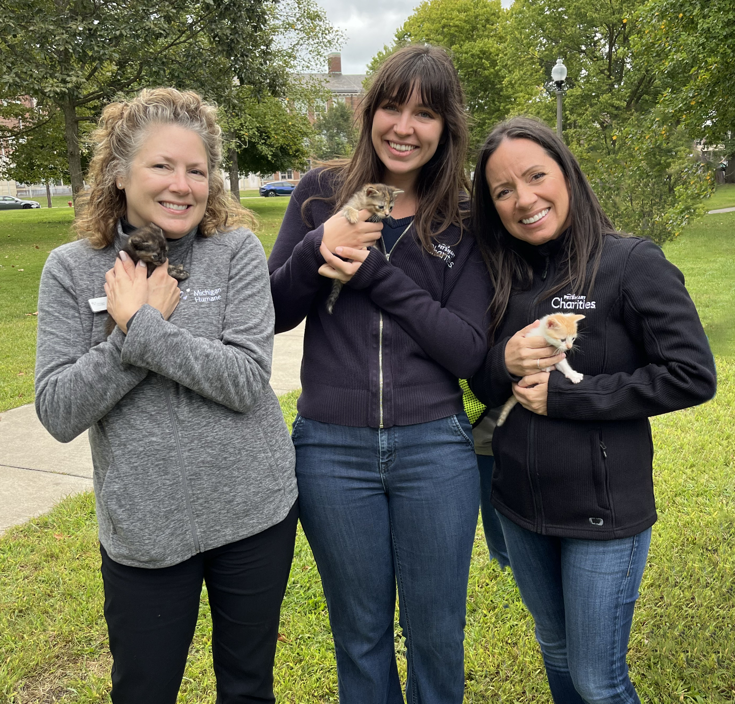 three women pose with kittens in a park