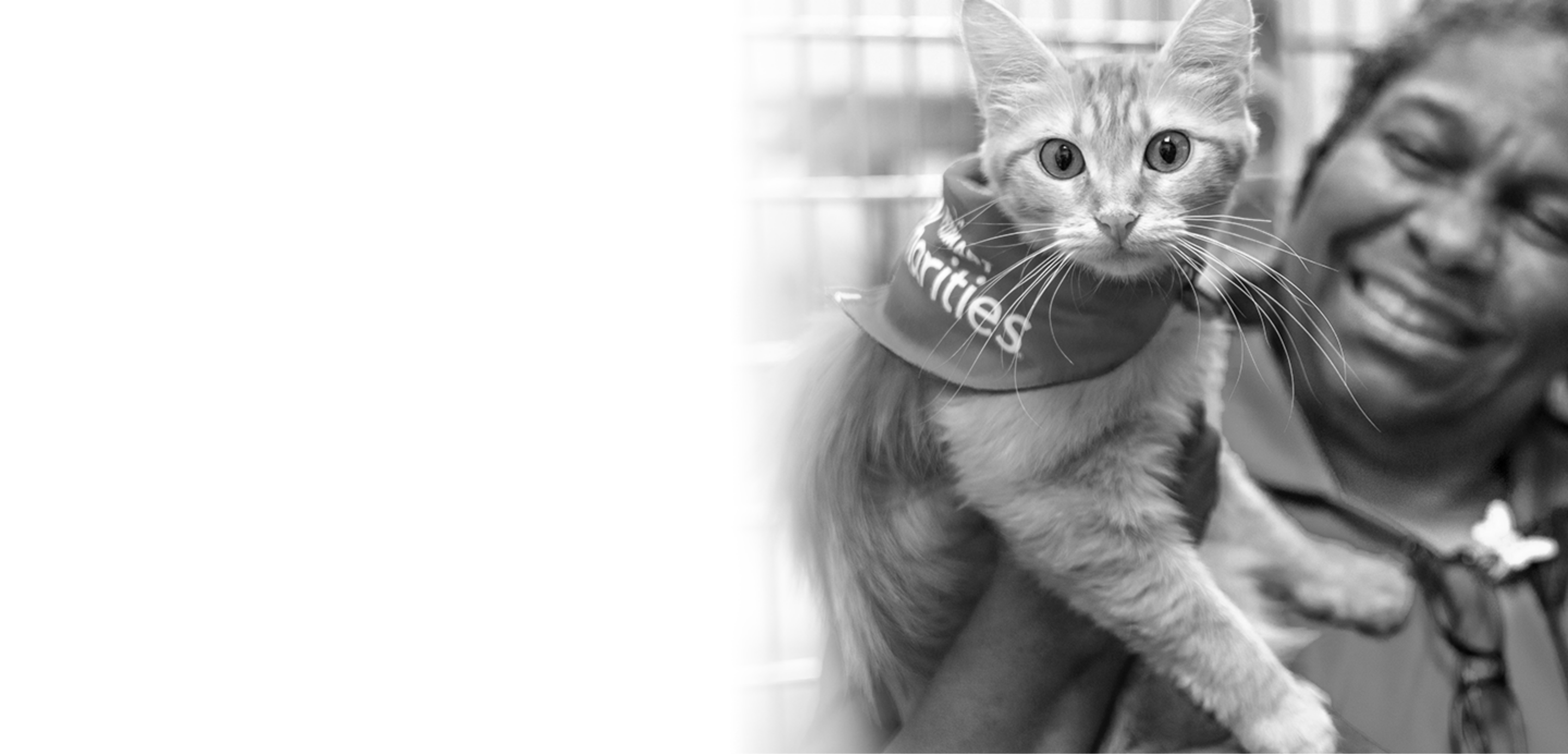 Woman smiles at a cat wearing PetSmart Charities bandana
