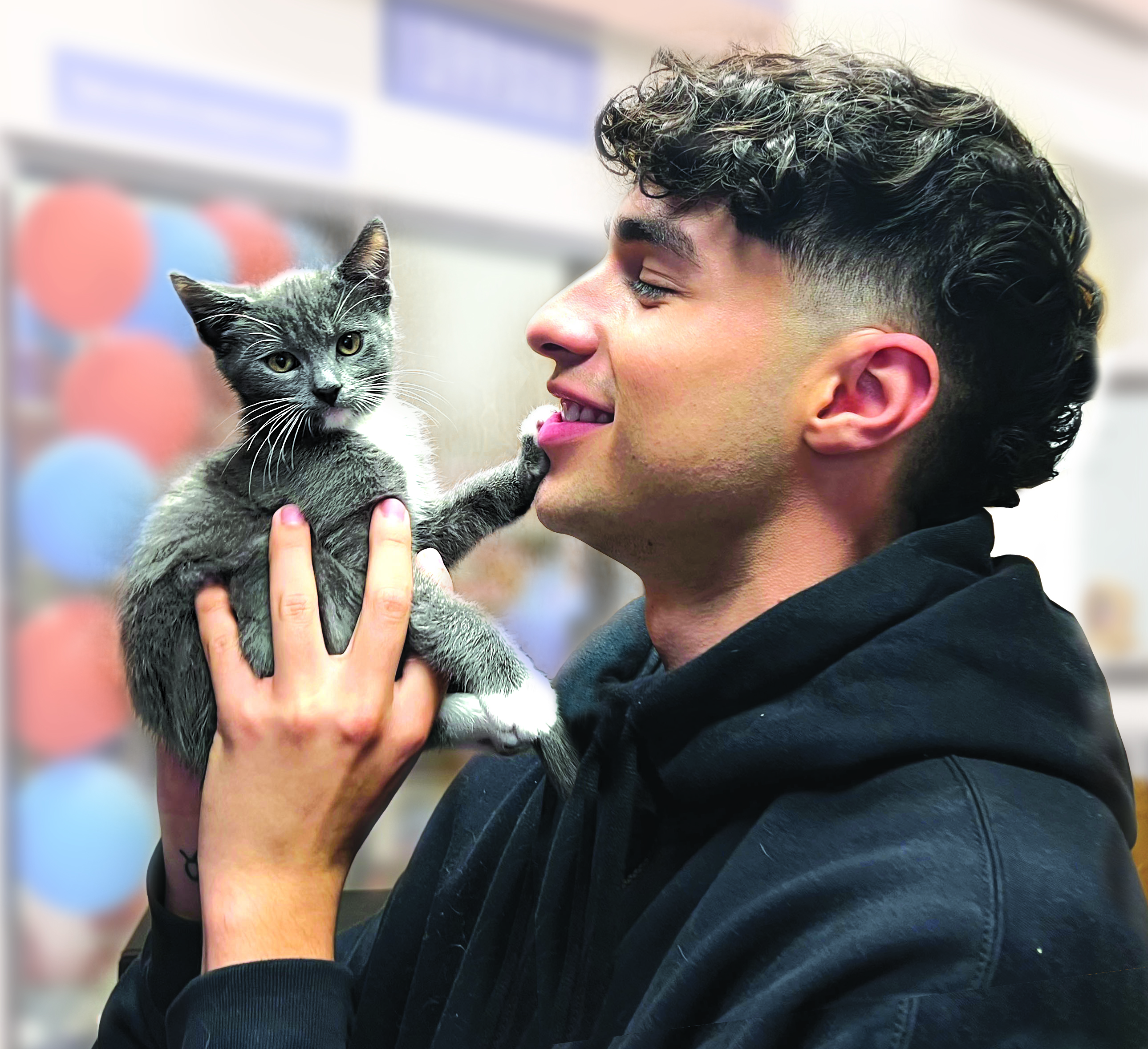 Kitten Season and NAW