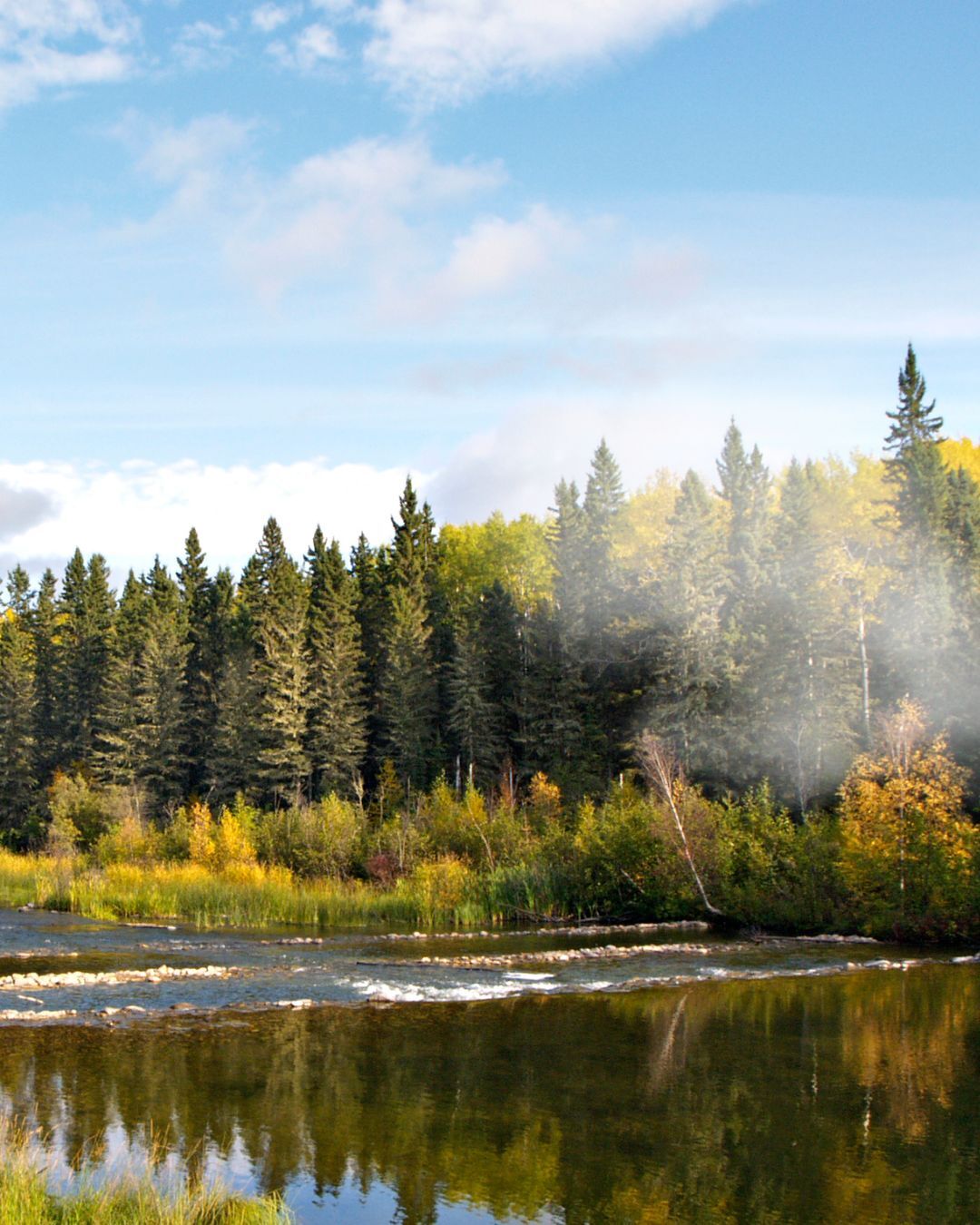 Wildfires CAN scenic image