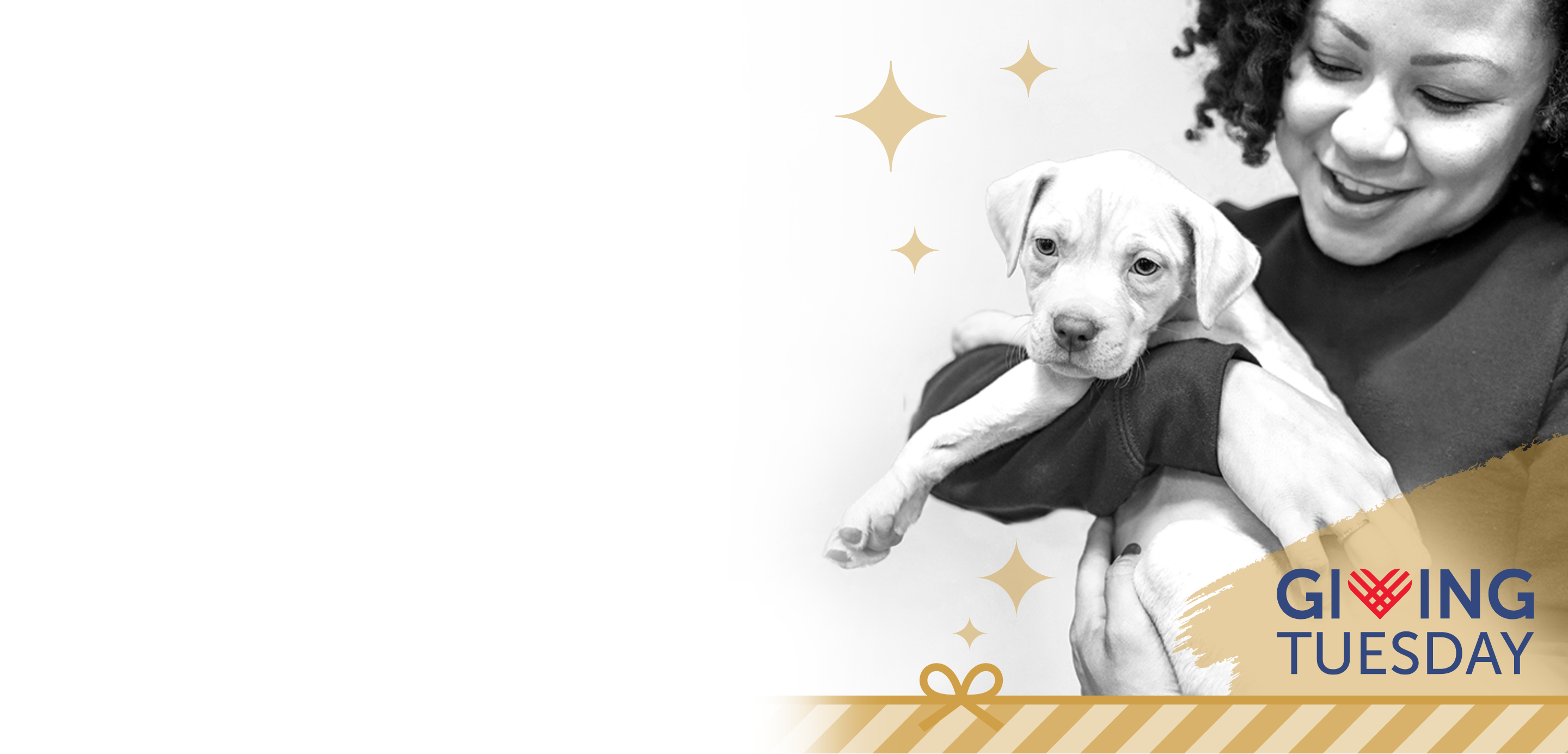 girl with dog giving tuesday