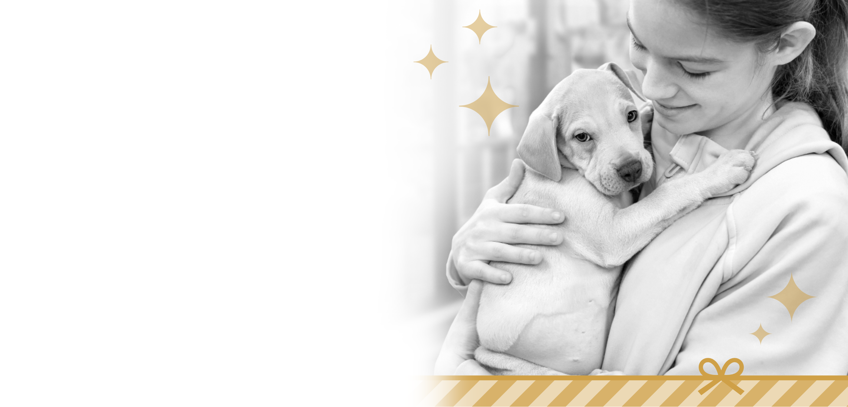 girl with puppy holiday 