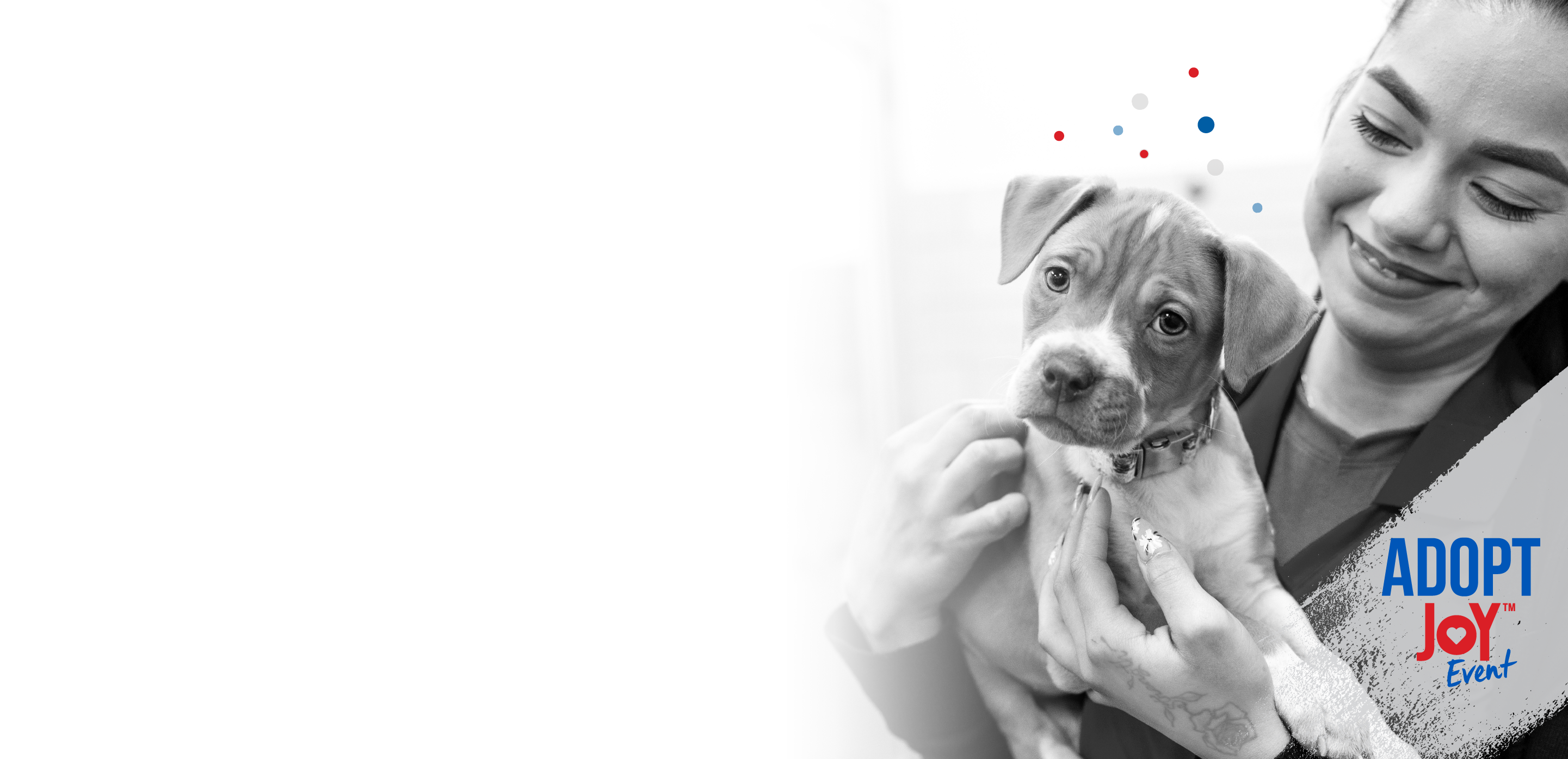 adopt joy evergreen '26