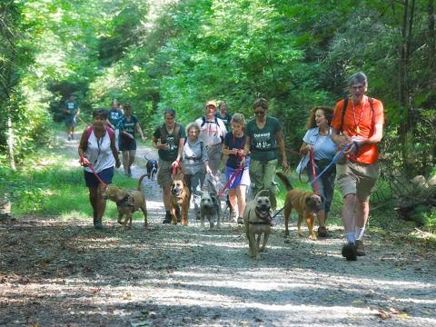 Outward Hounds Hiking