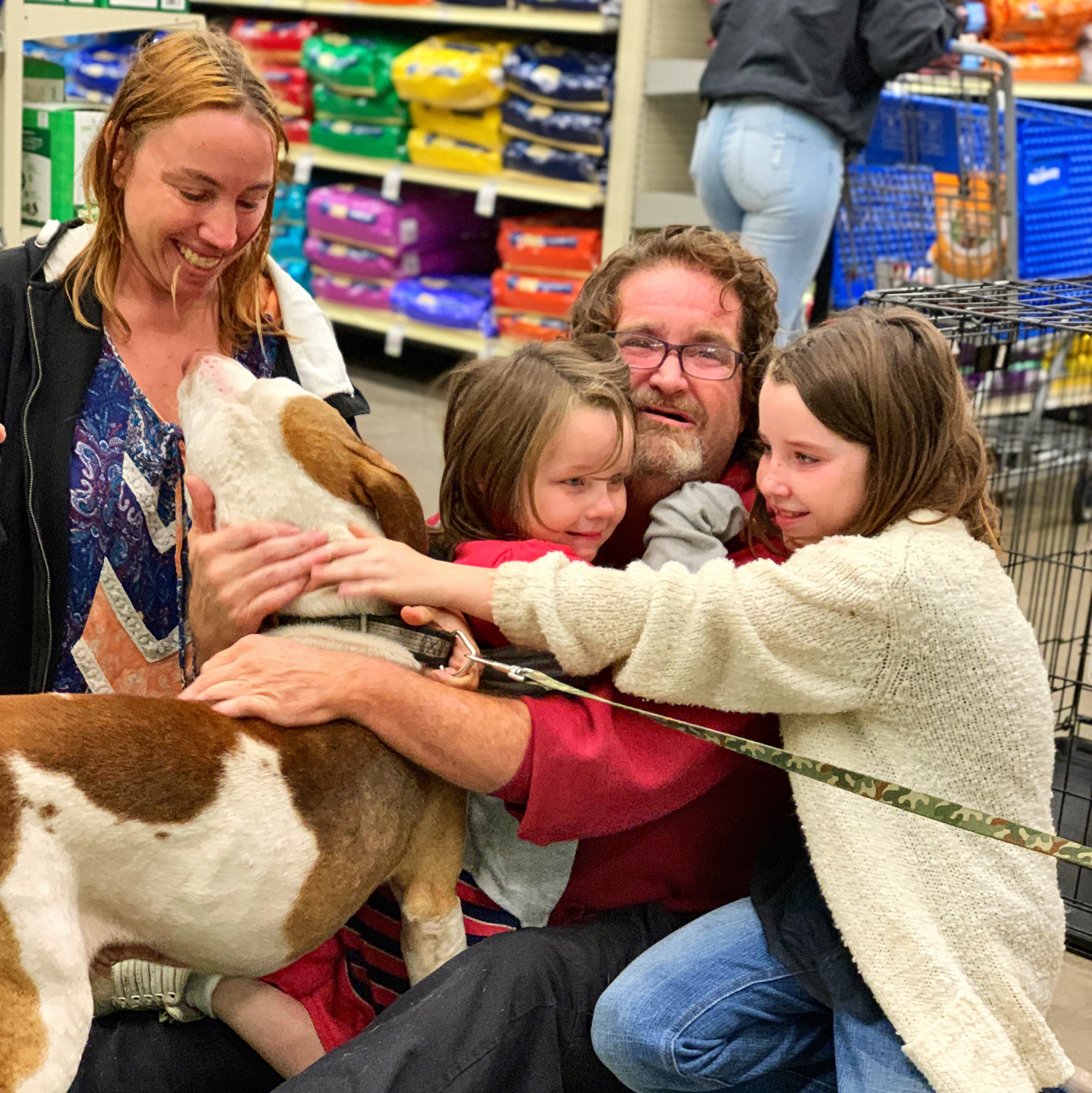 Free Adoptions - PetSmart St. John's Town Center - Jacksonville Humane  Society