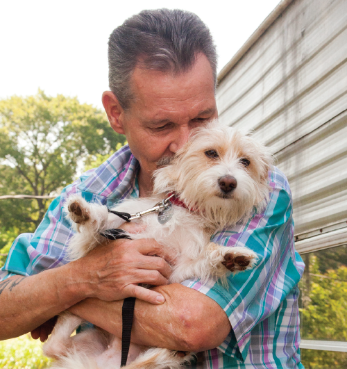 Greater Houston Animeals on Wheels