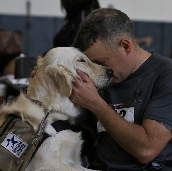 Warrior Canine Connection