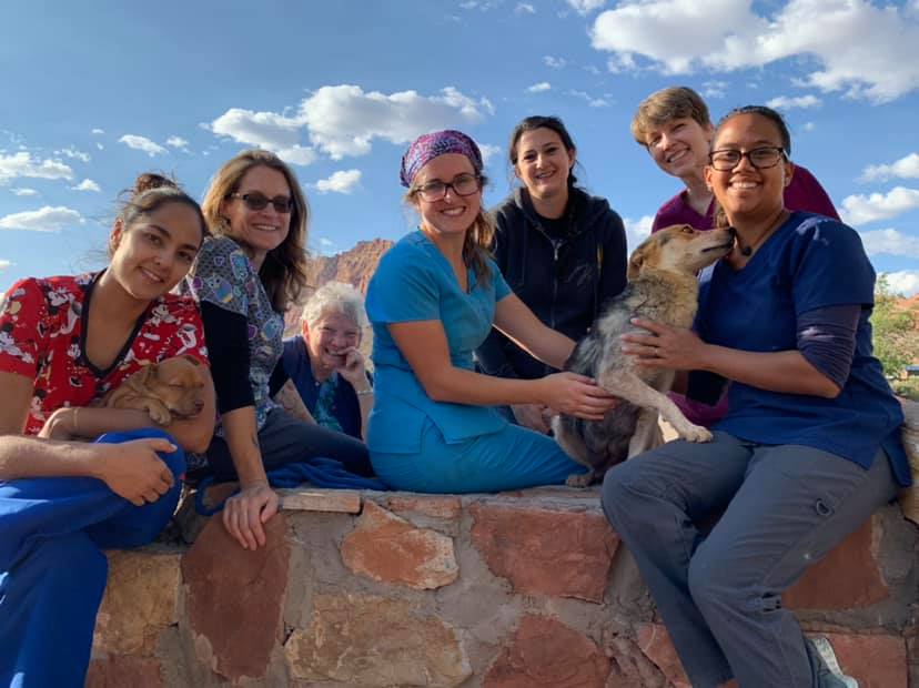 Soul Dog Rescue Helps People and Pets on Colorado's Native American  Reservations | PetSmart Charities