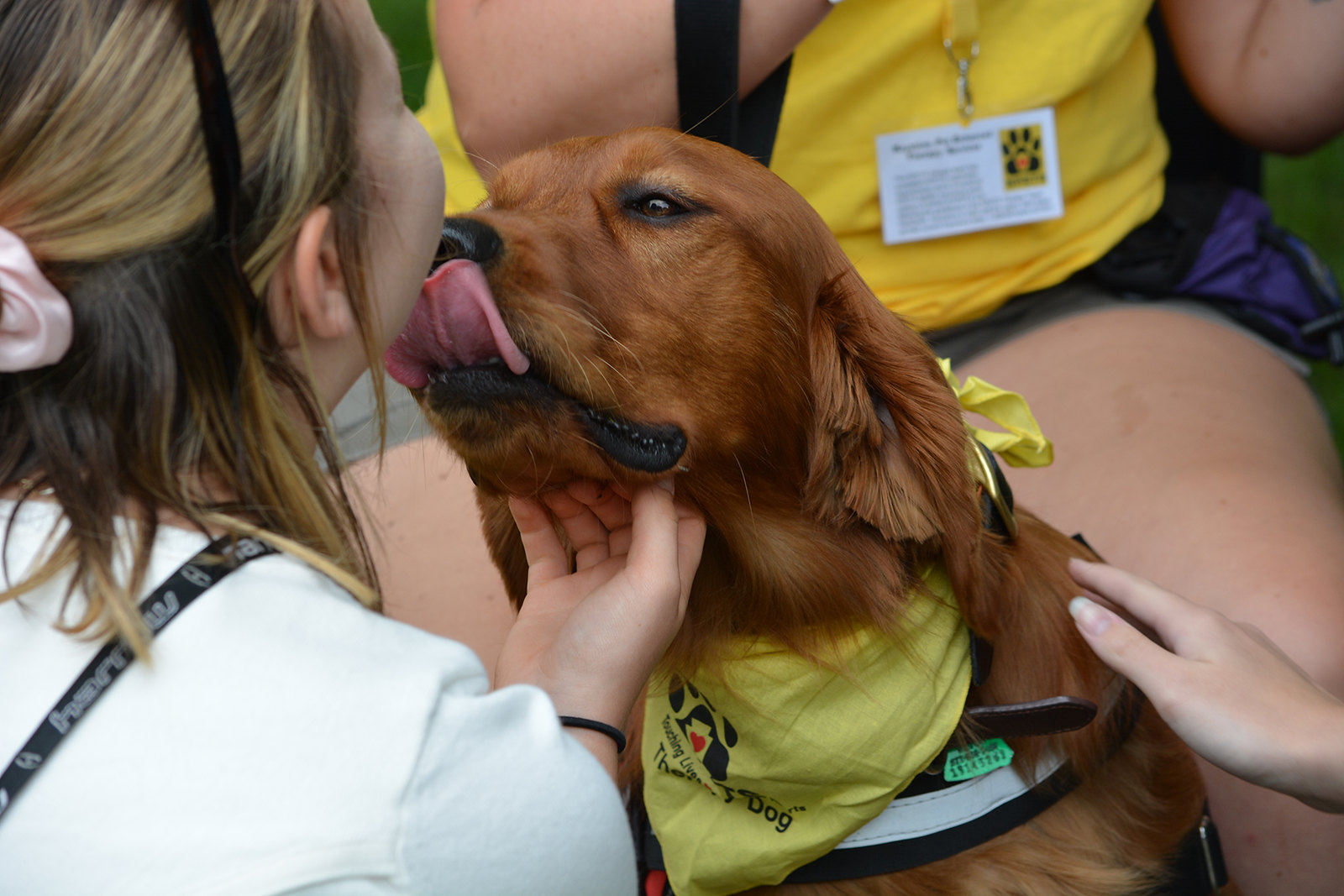 animal assisted therapy