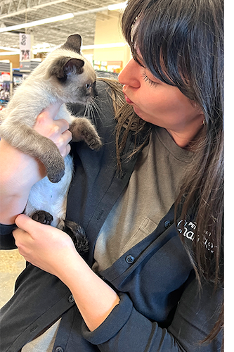 Kitten and potential pet parent meet at an adoption event