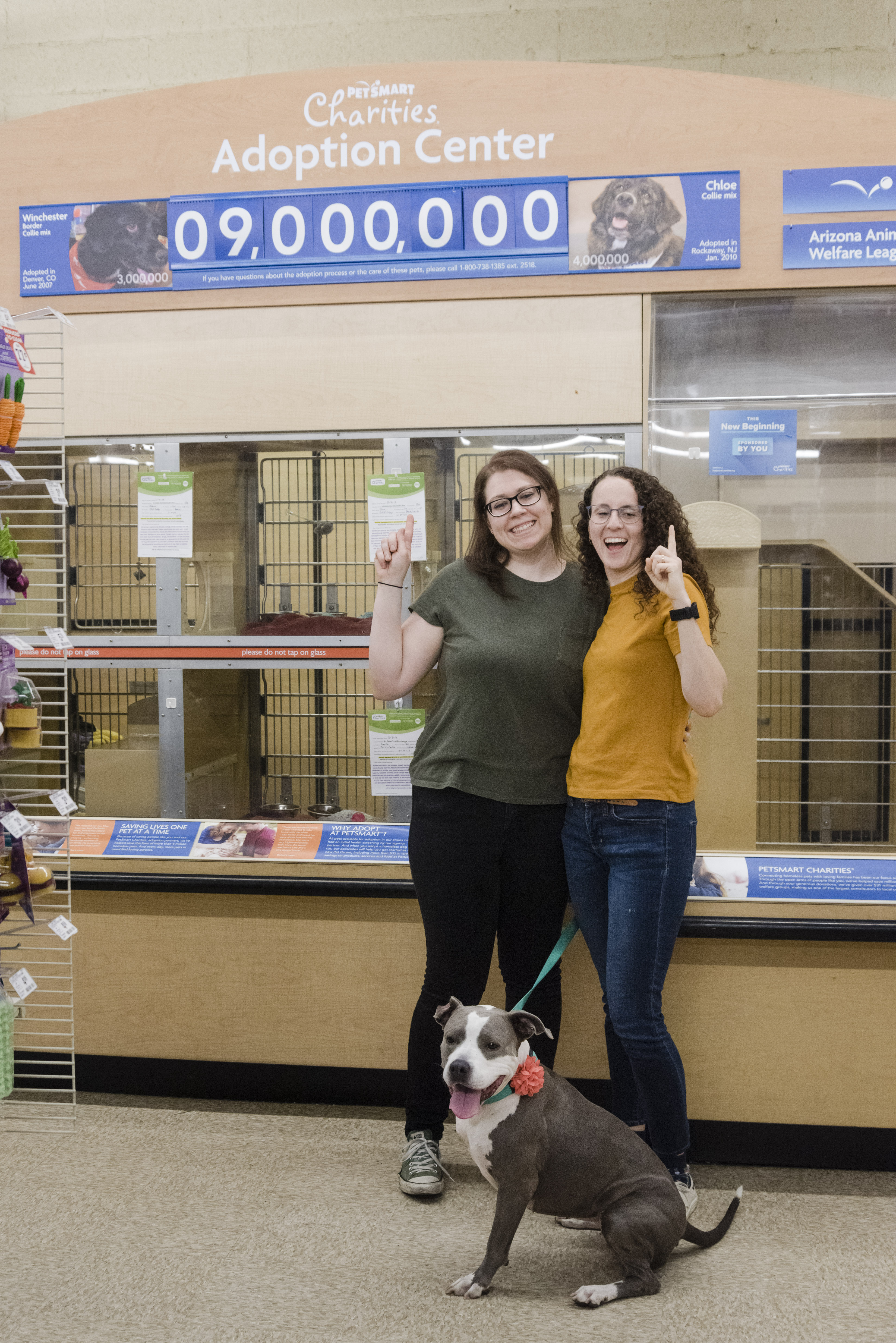 Dog Adoptions at PetSmart