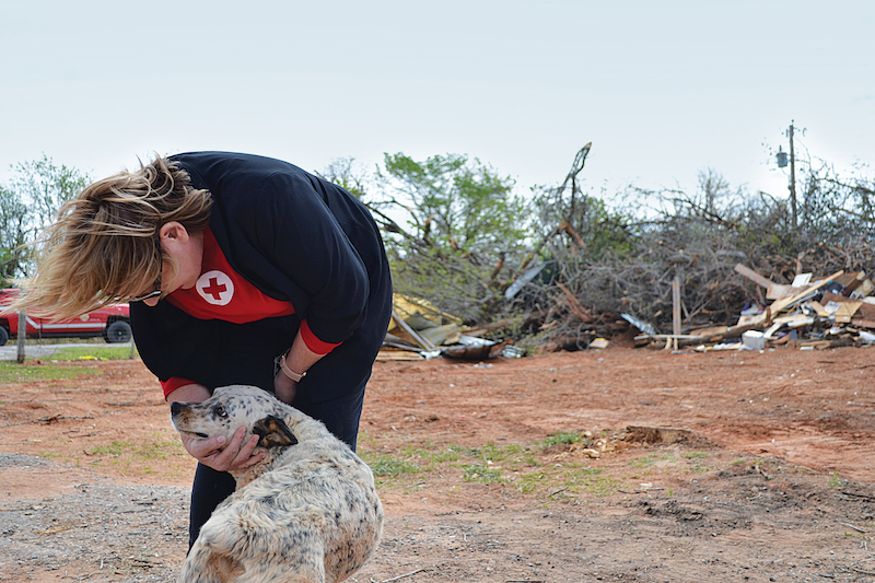 dog seeks reassuring human touch after riding out a storm