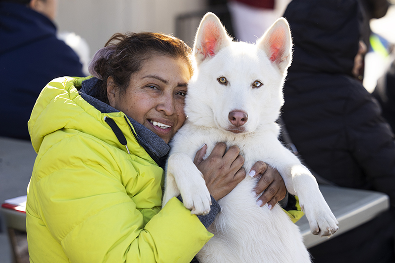 woman in bright green puffer jacket holds a large white husky in her arms