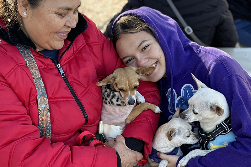 a woman and her daughter snuggle with their three pet chihuahuas wearing sweaters