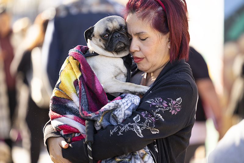 woman touches her forehead against the face of a pug wrapped in a blanket in her arms