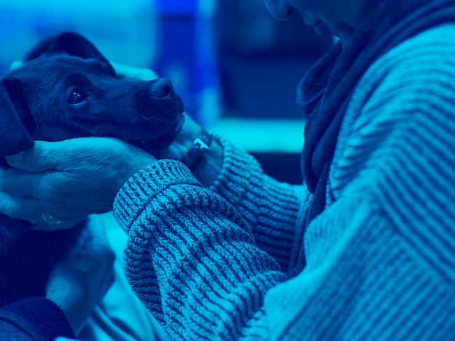 Adoption Program Update Petsmart Charities