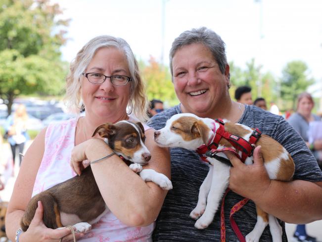 Adopt A Pet Near You Petsmart Charities