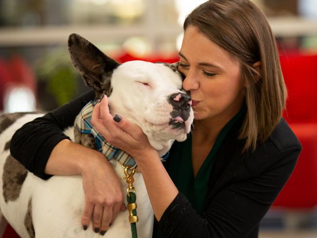 Dog Adoption Day at Petsmart 12/14 - PA CARING HEARTS