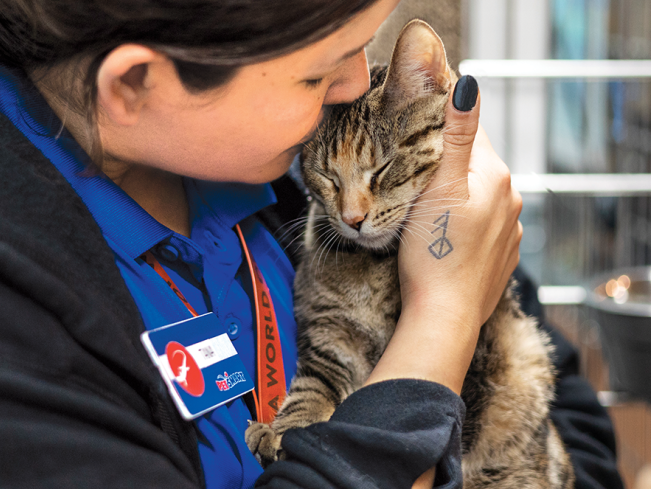 More than a Pet Charity: Connecting People & Pets | PetSmart Charities