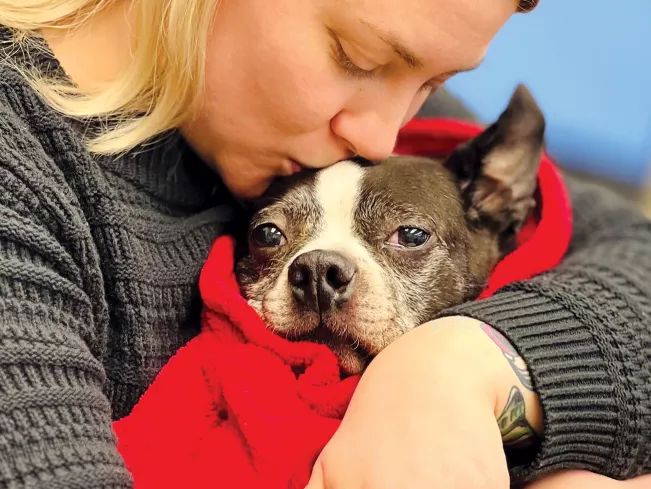 a woman kisses the top of a frenchie's head