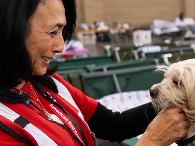 Red Cross volunteer greets a dog impacted by a natural disaster