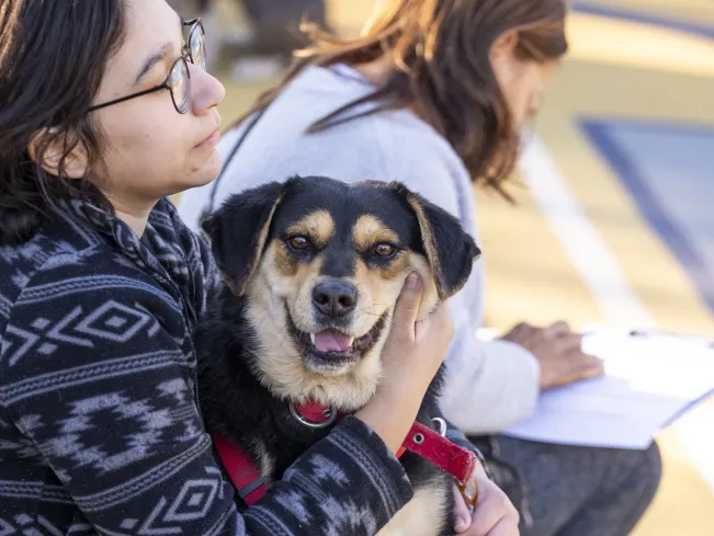 woman wearing patterned sweater sits outside with a black and tan dog in her lap