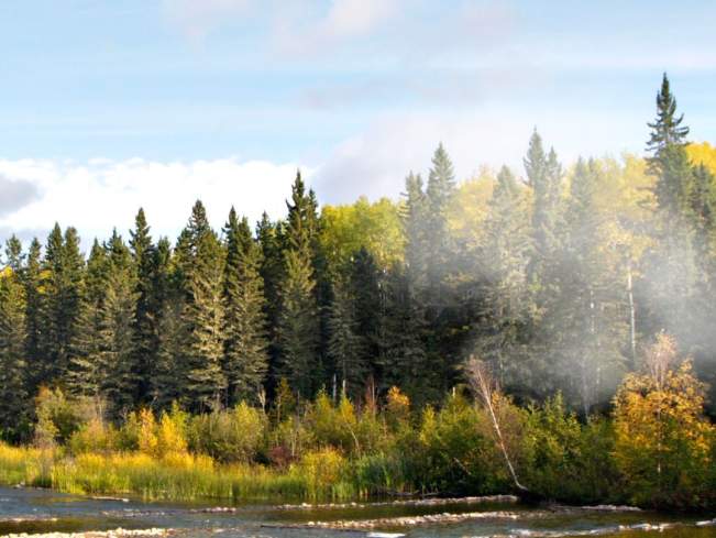 Wildfires CAN scenic image