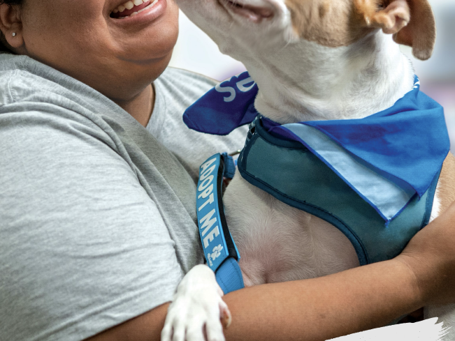 woman with dog 2024 impact report US