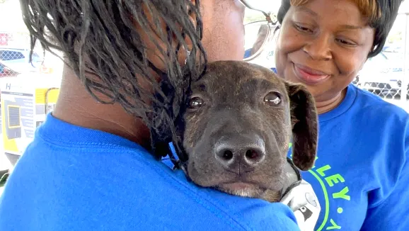 two adoption partners in blue t-shirts, one of them holding a dog in her arms