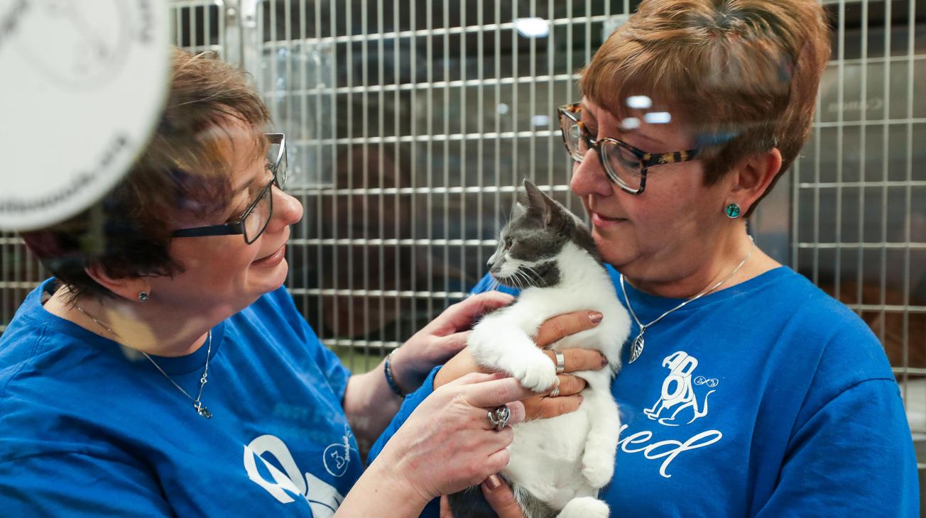 Find A Pet Adoption Center Near You Petsmart Charities