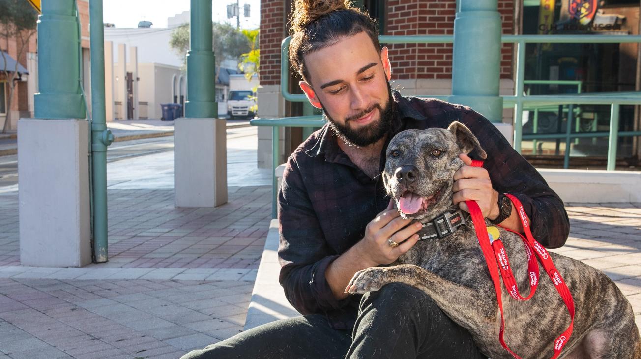 dog adoption
