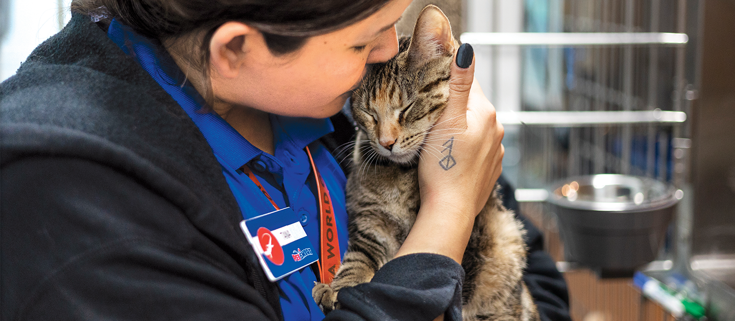 PetSmart Associate and cat snuggling
