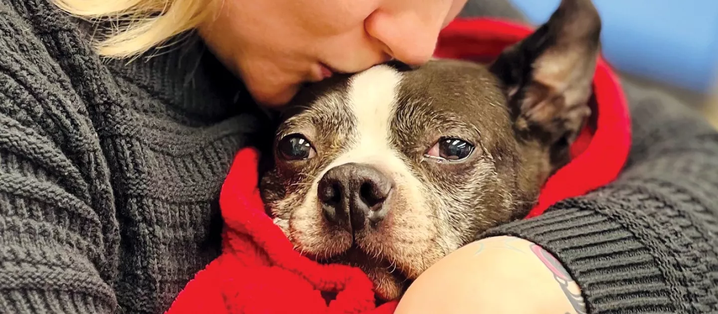 a woman kisses the top of a frenchie's head