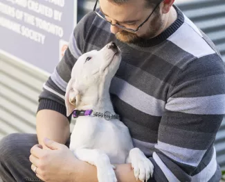 a man looks down at a white puppy looking adoringly back at him
