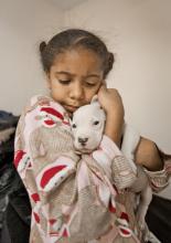 food insecurity covid-19